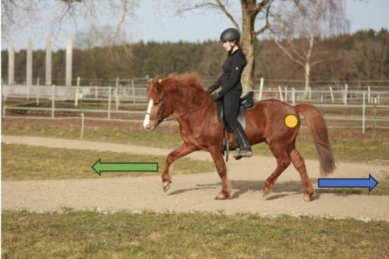 Individualtraining I